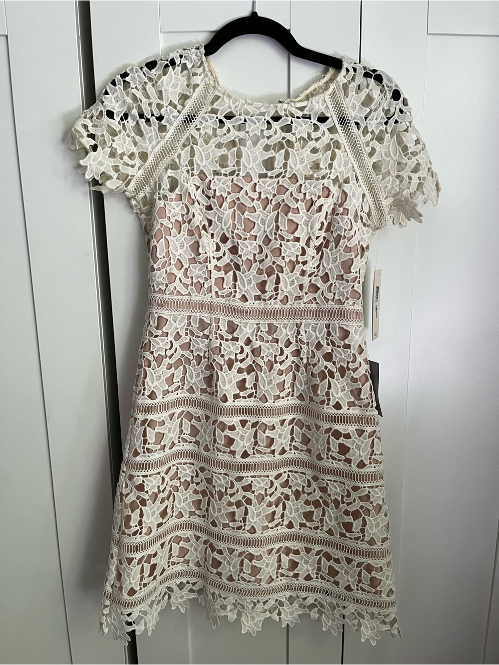 Eliza J Cream Lace Mini Dress with Nude Lining